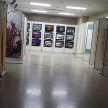 上海金喜展覽服務公司 專業展覽服務助力企業品牌騰飛